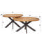 Salontafel set/2 spider