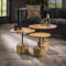 Coffee table set/3 tree trunk leg
