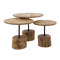 Coffee table set/3 tree trunk leg
