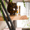 Wandschap set/3 lean