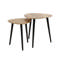 Bijzettafel set/2 driehoek organisch