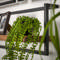 Wandplank edge 20cm