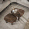 Salontafel set/2 vierhoekig Maya teak