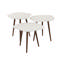 Salontafel set/3 point stone