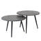 Coffee table Ø55 set/2 round metallic