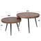 Coffee table set/2 upright edge round metallic
