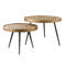 Coffee table set/2 upright edge round metallic