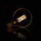Light bulb LED [G125] filament globe Ø12,5